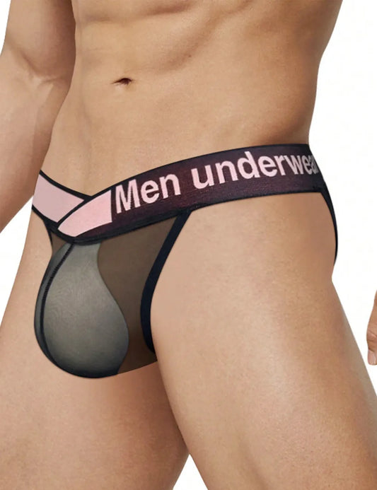 CHEEKY Waistband Briefs