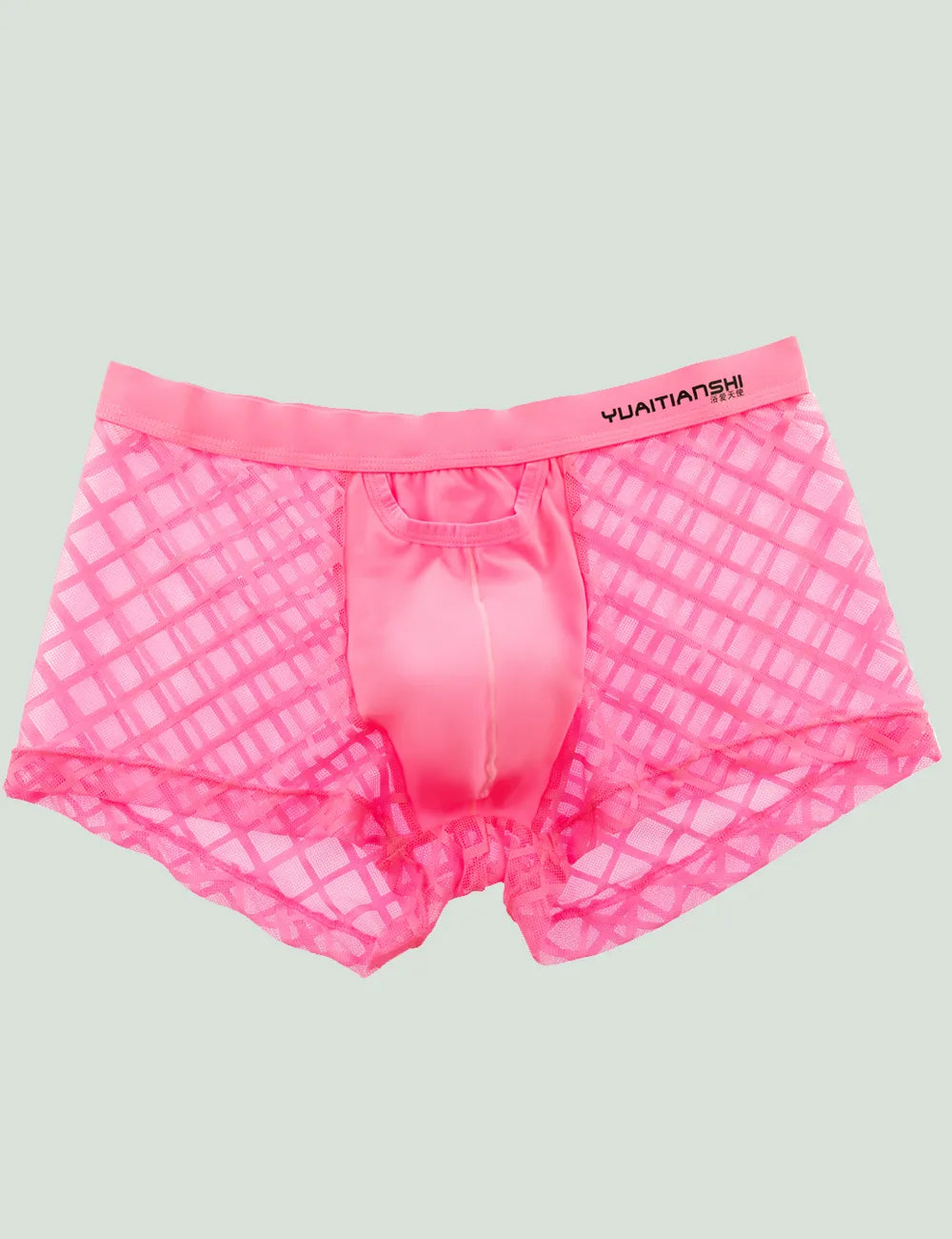 Mensexy All Over Mesh Boxers