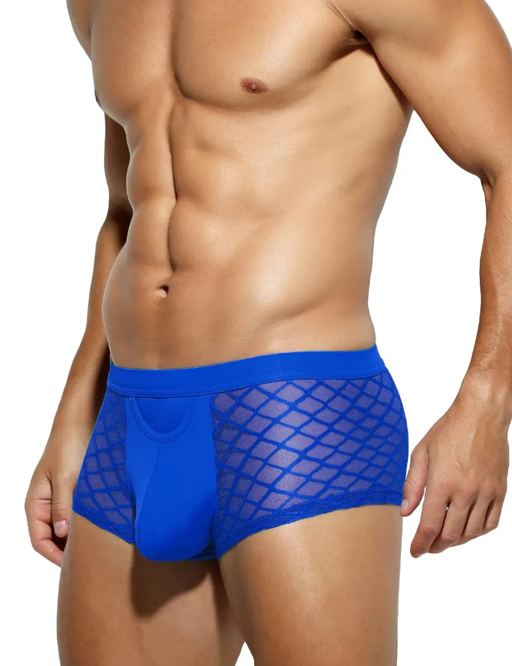 Mensexy All Over Mesh Boxers