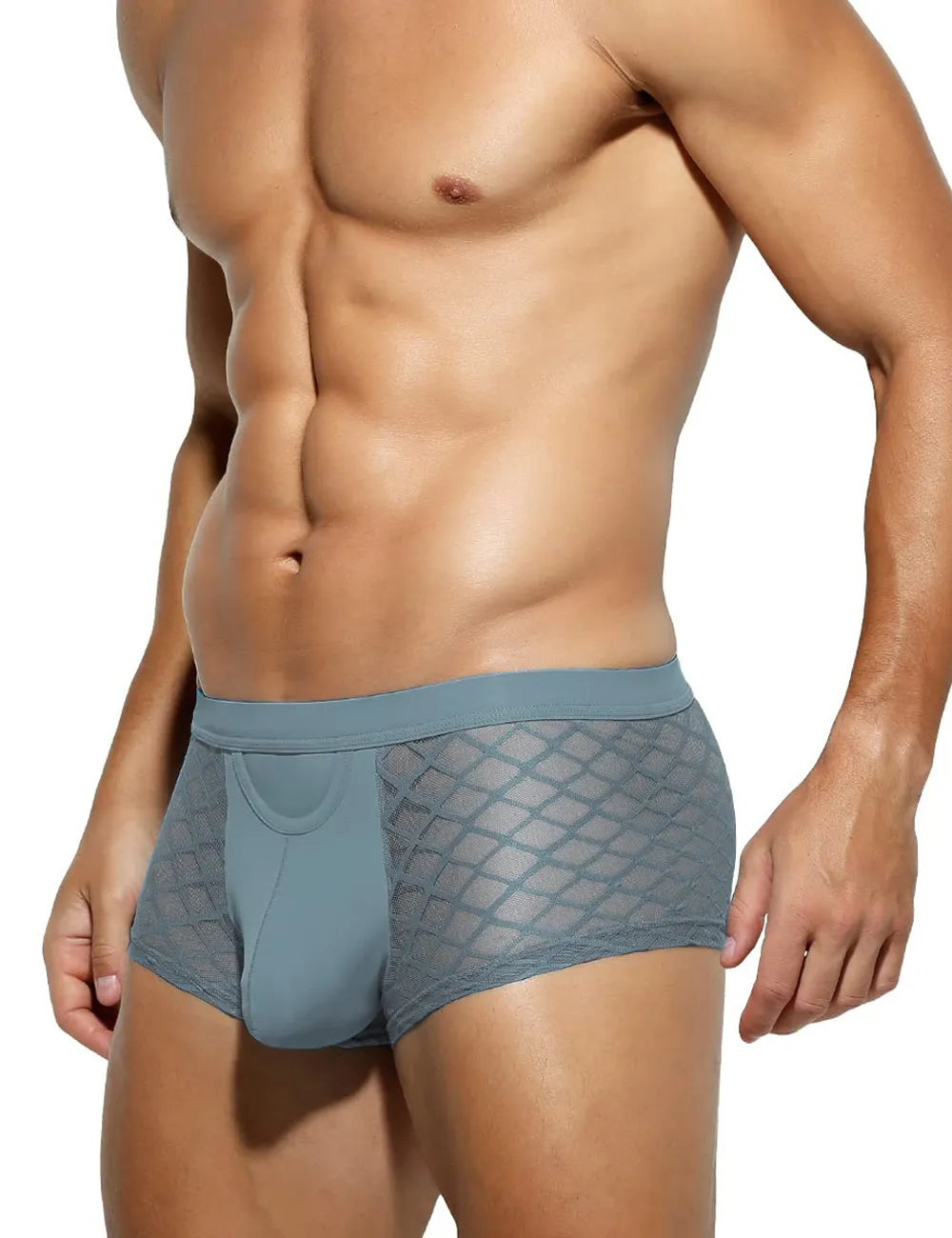 Mensexy All Over Mesh Boxers