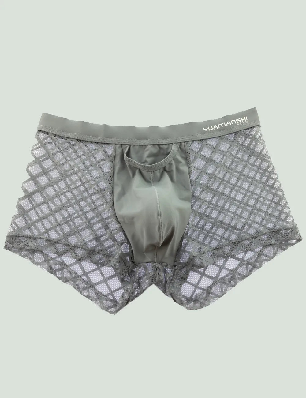 Mensexy All Over Mesh Boxers