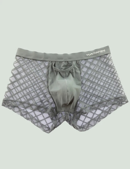 Mensexy All Over Mesh Boxers