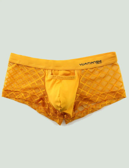 Mensexy All Over Mesh Boxers