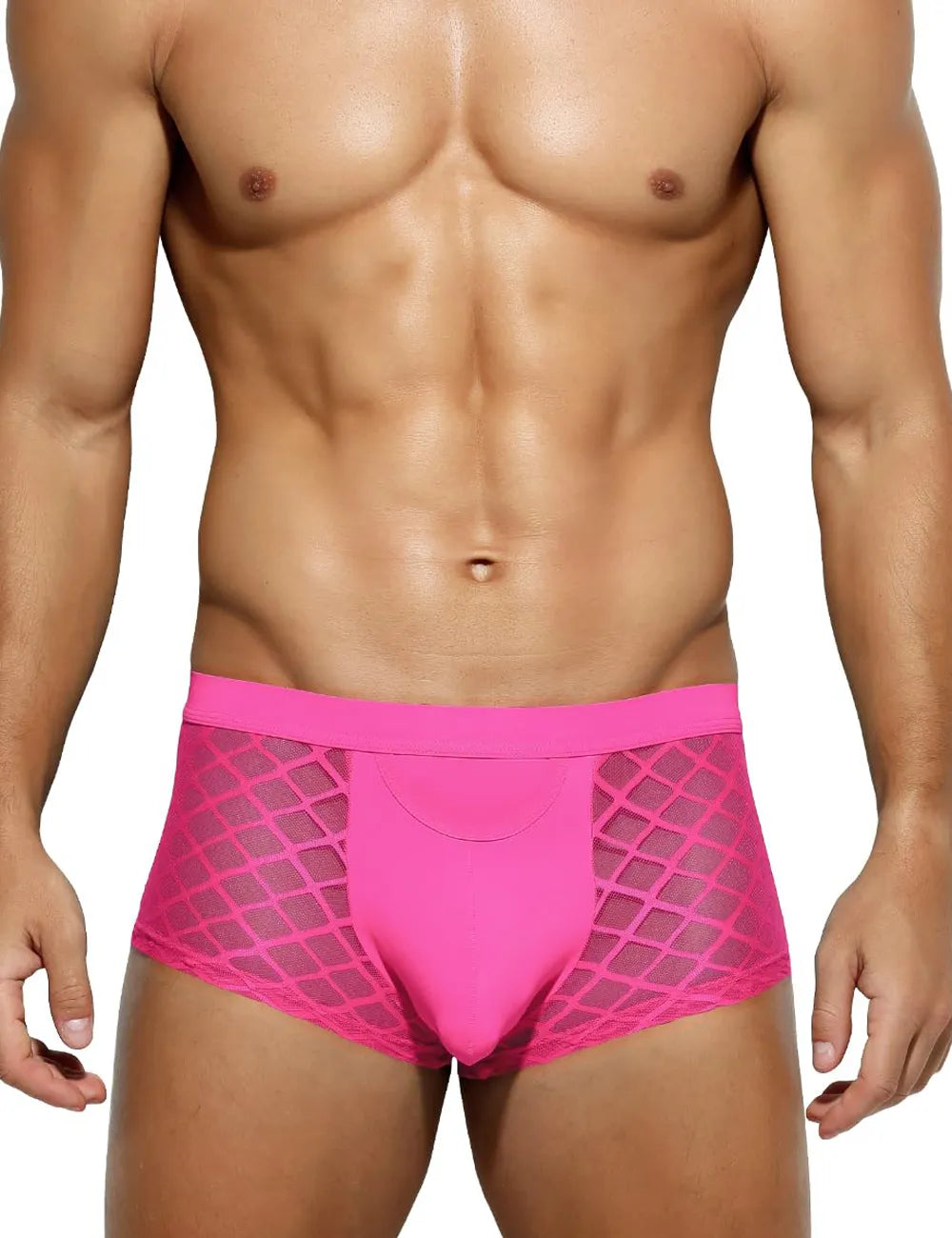 Mensexy All Over Mesh Boxers