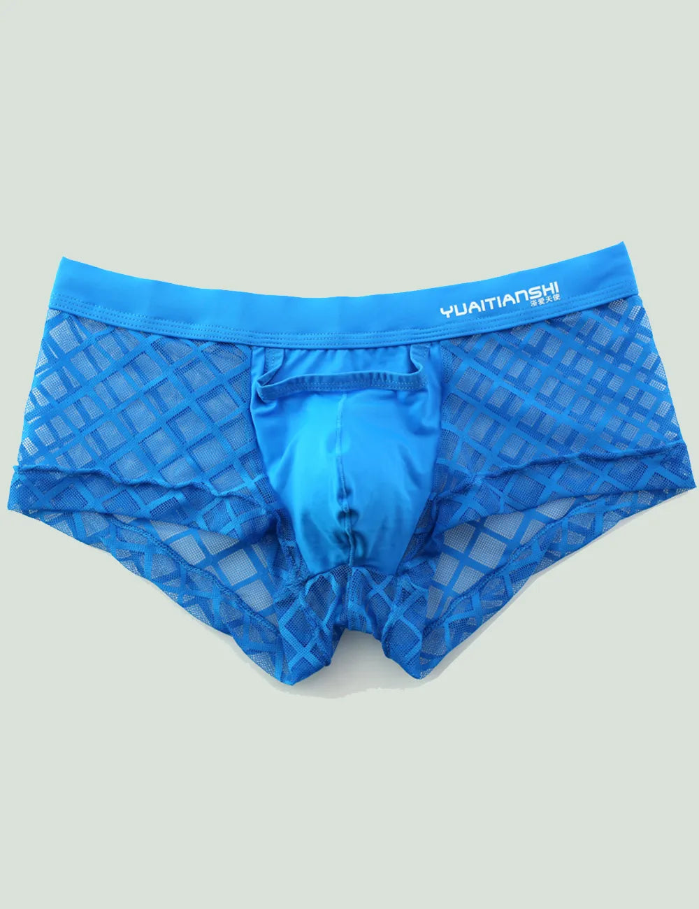 Mensexy All Over Mesh Boxers